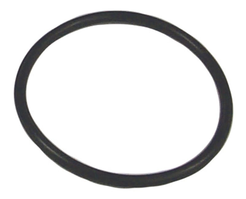 O-Ring, Erst: 25-29976
